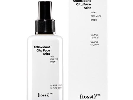 Antioxidant City Face Mist antyoksydacyjna miejska mgiełka do twarzy 100ml Online Hot Sale